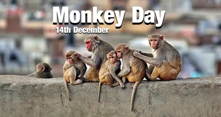 World Monkey Day UPSC IAS